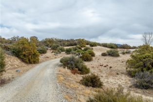 Single Family Residence, 62000 Indian Hill rd, Mountain Center, CA 92561 - 3