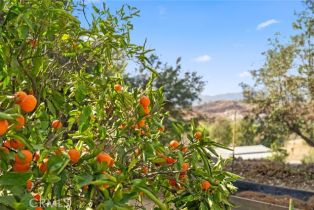 Single Family Residence, 41810 Calle Cerro, Temecula, CA 92592 - 40