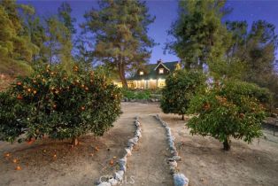 Single Family Residence, 41810 Calle Cerro, Temecula, CA 92592 - 6