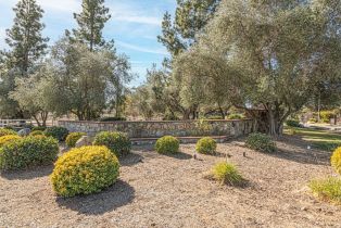 Single Family Residence, 19490 Calle Juanito, Murrieta, CA 92562 - 5