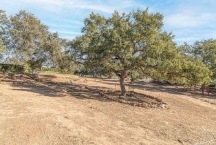 Single Family Residence, 19490 Calle Juanito, Murrieta, CA 92562 - 55