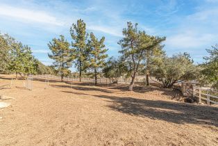 Single Family Residence, 19490 Calle Juanito, Murrieta, CA 92562 - 56