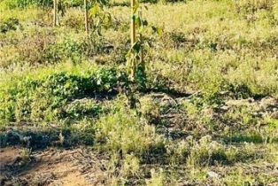 , 87 Los Gatos rd, Temecula, CA 92590 - 12