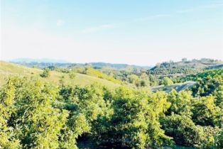 , 87 Los Gatos rd, Temecula, CA 92590 - 13