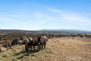 , 39551 Intrepid rd, Temecula, CA 92592 - 34