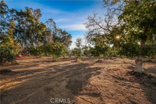 Single Family Residence, 45055 Rio Linda rd, Temecula, CA 92592 - 38