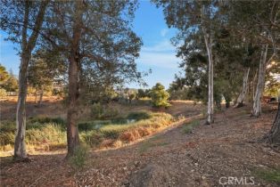 Single Family Residence, 45055 Rio Linda rd, Temecula, CA 92592 - 43