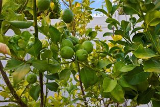 Single Family Residence, 30414 Woodland Hills st, Murrieta, CA 92563 - 49