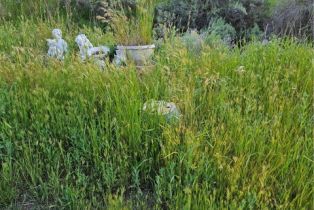 , 27375 Sycamore Mesa rd, Temecula, CA 92590 - 2