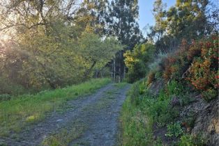 Land, 27375 Sycamore Mesa RD, Temecula, CA  Temecula, CA 92590