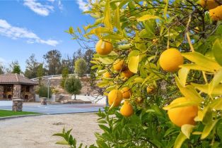 Single Family Residence, 43840 Vallejo ave, Temecula, CA 92592 - 52