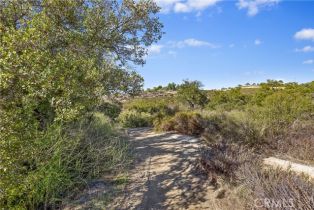 , 39460 Calle Escalona, Temecula, CA 92592 - 29