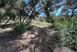 , 39460 Calle Escalona, Temecula, CA 92592 - 47