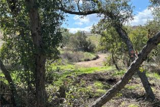 , 39460 Calle Escalona, Temecula, CA 92592 - 48