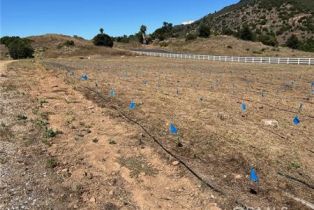 , 21757 Foli Ranch cir, Temecula, CA 92590 - 4