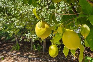 , 4747 Oak Crest Rd rd, Fallbrook, CA 92028 - 42