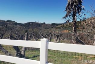 , 44 El Calamar rd, Temecula, CA 92590 - 11