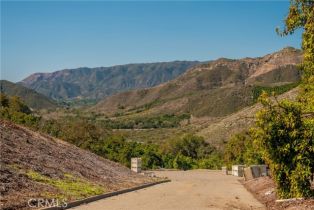 , 0 Camaron rd, Temecula, CA 92590 - 10