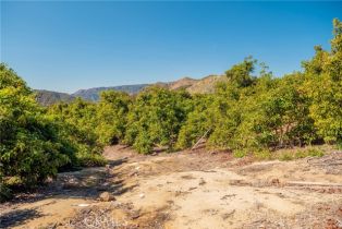 , 0 Camaron rd, Temecula, CA 92590 - 15