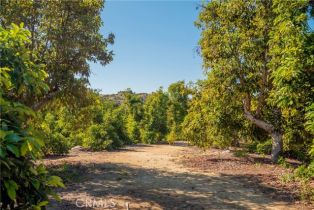 , 0 Camaron rd, Temecula, CA 92590 - 16