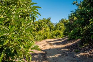 , 0 Camaron rd, Temecula, CA 92590 - 20