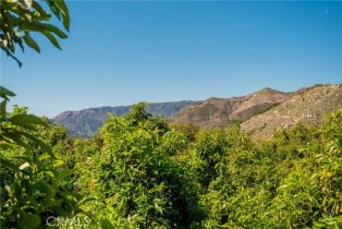 , 0 Camaron rd, Temecula, CA 92590 - 24