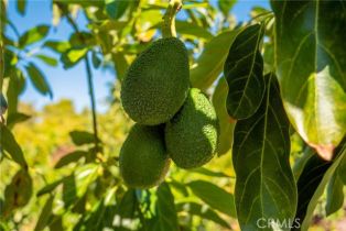 , 0 Camaron rd, Temecula, CA 92590 - 5