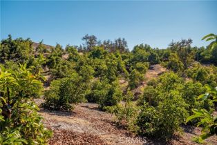 , 0 Camaron rd, Temecula, CA 92590 - 8