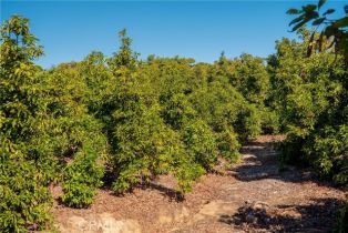 , 0 Camaron rd, Temecula, CA 92590 - 9