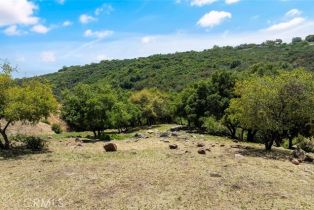 Single Family Residence, 18321 Cerro rd, Murrieta, CA 92562 - 41