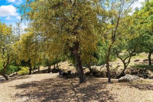 Single Family Residence, 18321 Cerro rd, Murrieta, CA 92562 - 42