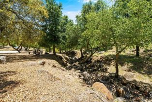 Single Family Residence, 18321 Cerro rd, Murrieta, CA 92562 - 43