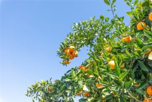 Single Family Residence, 30386 Bear River dr, Canyon Lake, CA 92587 - 26