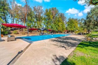 Single Family Residence, 36500 De Portola rd, Temecula, CA 92592 - 51