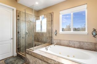 Single Family Residence, 19654 Celia Vista, Murrieta, CA 92562 - 31