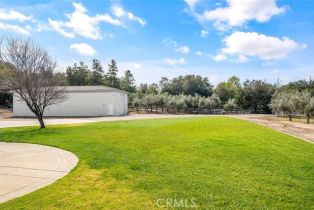 Single Family Residence, 19654 Celia Vista, Murrieta, CA 92562 - 62