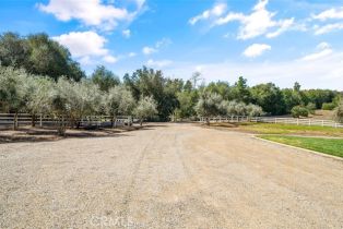 Single Family Residence, 19654 Celia Vista, Murrieta, CA 92562 - 8