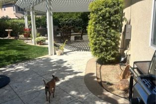 Single Family Residence, 42232 Gateshead ct, Temecula, CA 92592 - 30