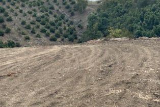 , 15 Camino Gatillo rd, Temecula, CA 92590 - 7