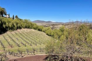 Single Family Residence, 39526 Calle Cabernet, Temecula, CA 92591 - 49