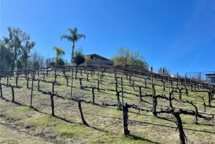 Single Family Residence, 39526 Calle Cabernet, Temecula, CA 92591 - 50