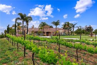 Single Family Residence, 36090 Monte De Oro rd, Temecula, CA 92592 - 11
