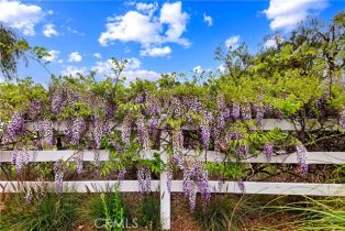 Single Family Residence, 36090 Monte De Oro rd, Temecula, CA 92592 - 38