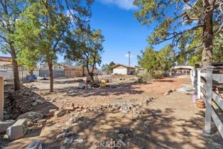 Single Family Residence, 69719 Palm Springs ave, Mountain Center, CA 92561 - 5