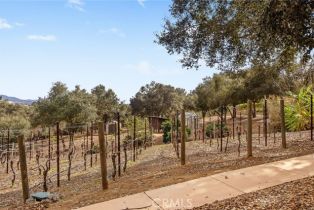 Single Family Residence, 3221 Integrity way, Fallbrook, CA 92028 - 54