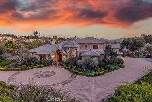 Single Family Residence, 3221 Integrity way, Fallbrook, CA 92028 - 6