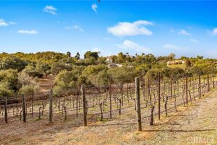 Single Family Residence, 3221 Integrity way, Fallbrook, CA 92028 - 63