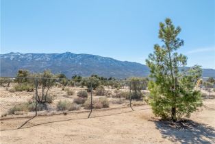 Single Family Residence, 68597 Zurich ave, Mountain Center, CA 92561 - 48