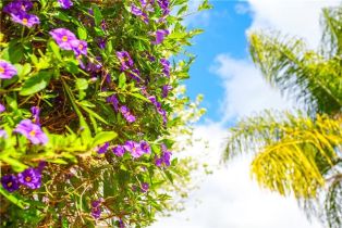 Single Family Residence, 31973 Wildwood ct, Temecula, CA 92592 - 32