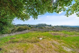 Single Family Residence, 21128 Via Los Laureles, Murrieta, CA 92562 - 66